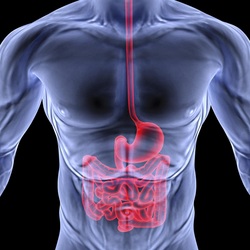 general examination of gastroenterology