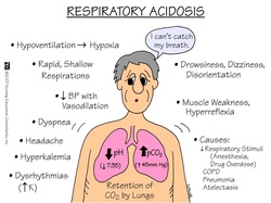 the cause of respiratory acidosis 