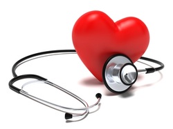 cardiovascular examination 
