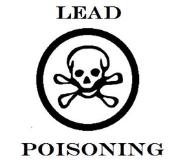how to treat lead poisoning