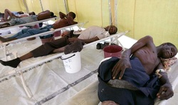 infectious disease cholera